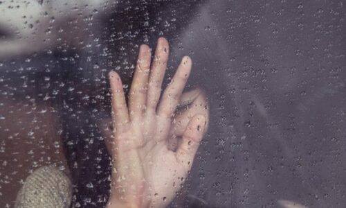 photo-1422544834386-d121ef7c6ea8-600x632