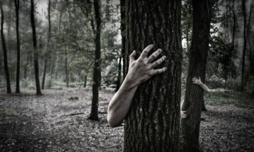 photo-1444146085469-2a4ef5a7e5fb-600x400