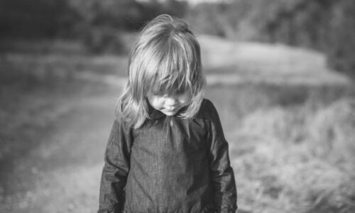 photo-1445916678118-65fa225fe00e-1-600x400