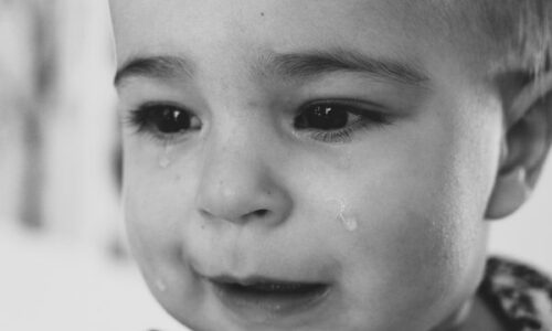 photo-1457383696680-a6a7712edcf9-600x367