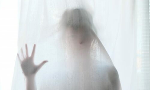 photo-1465416532510-98090cdedec7-600x400